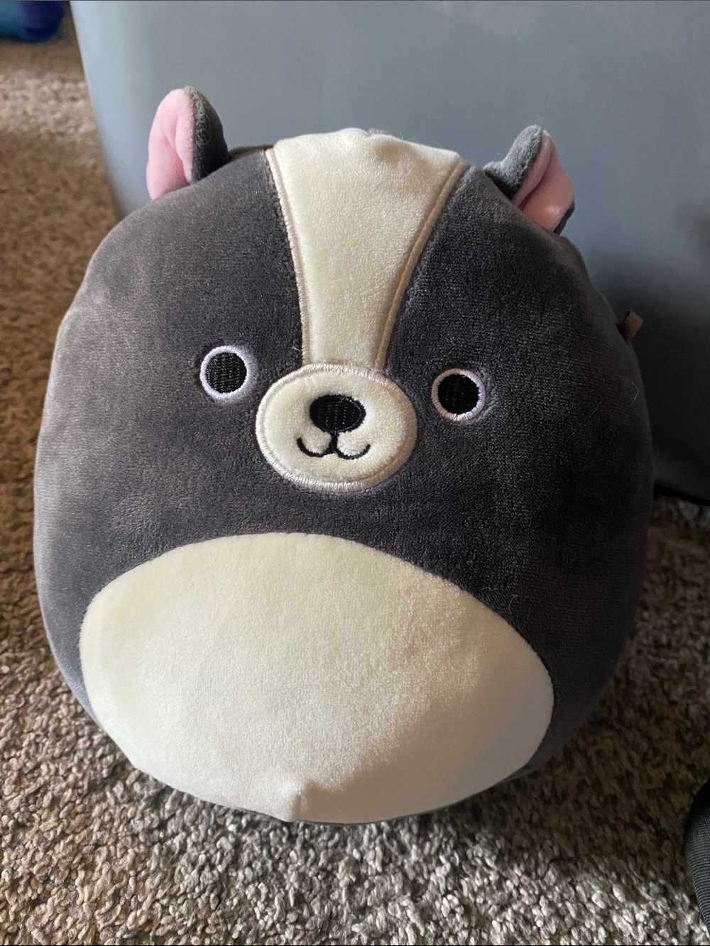 Skunk squishmallow